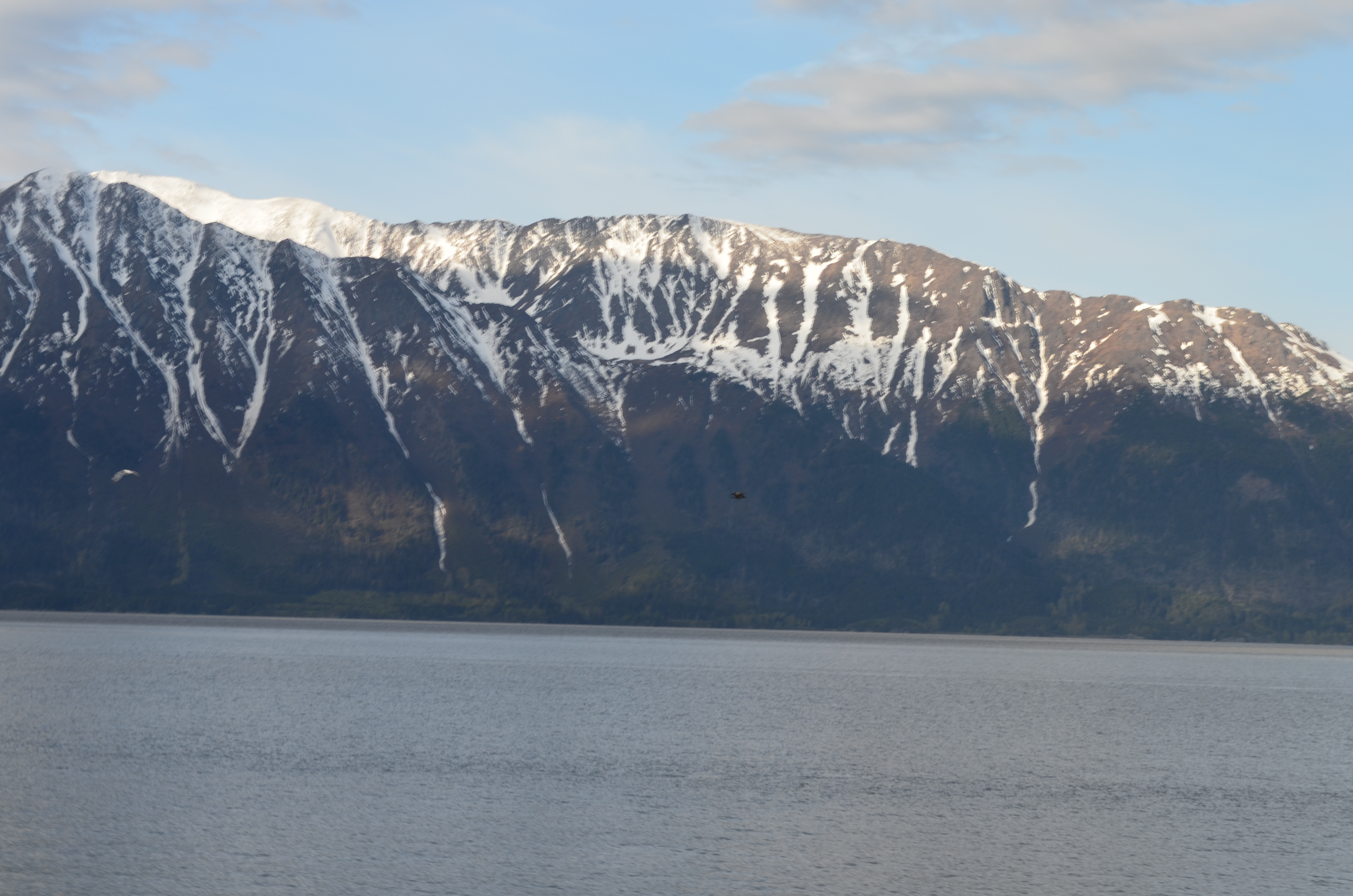 ./2017/08 - Alaska Cruise/05 - Train to Seward/DSC_0444.JPG